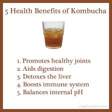 komucha benefit 2